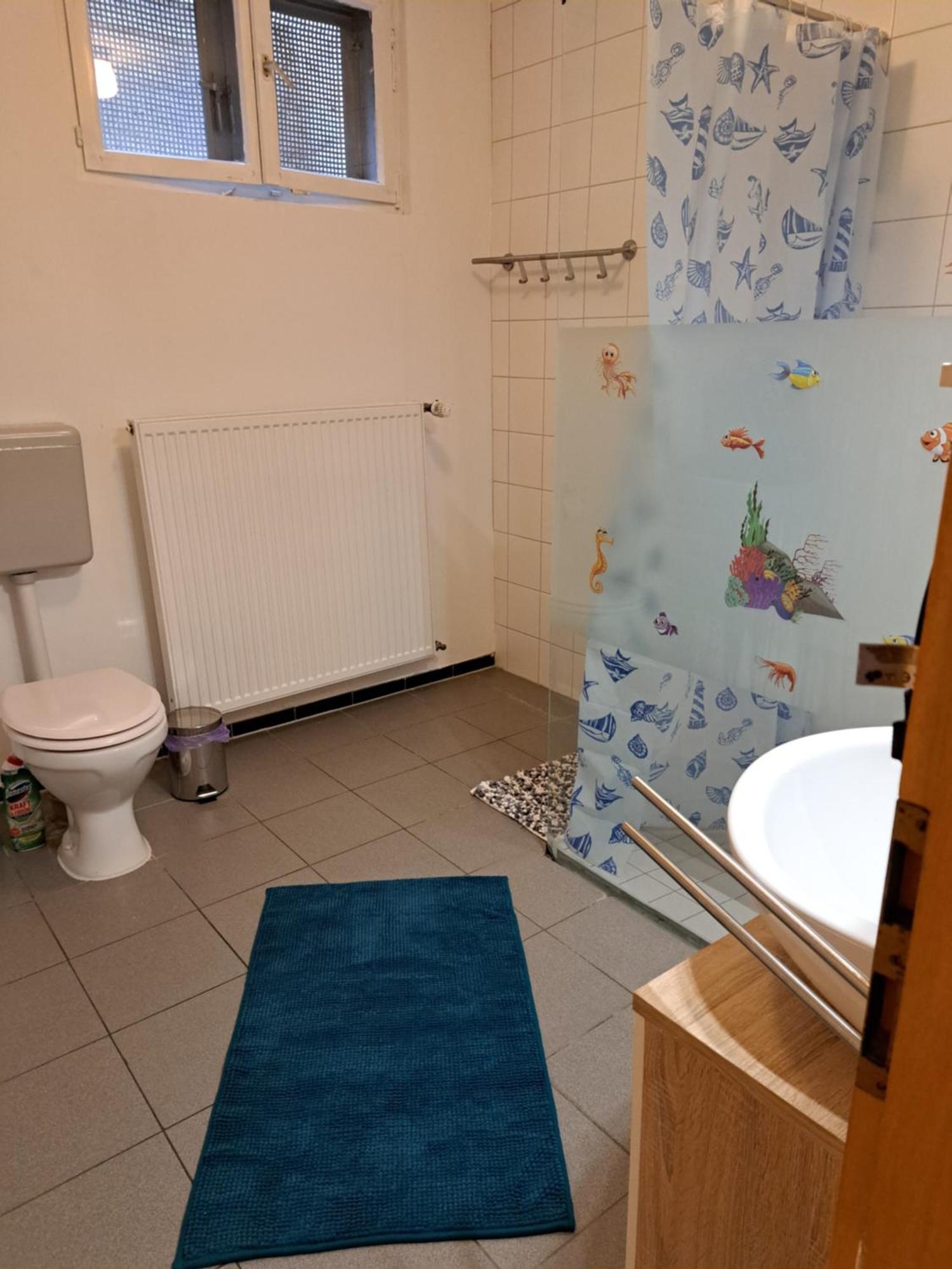 Wohnung Mit 2 - 3 Zimmern Ballenberg 外观 照片